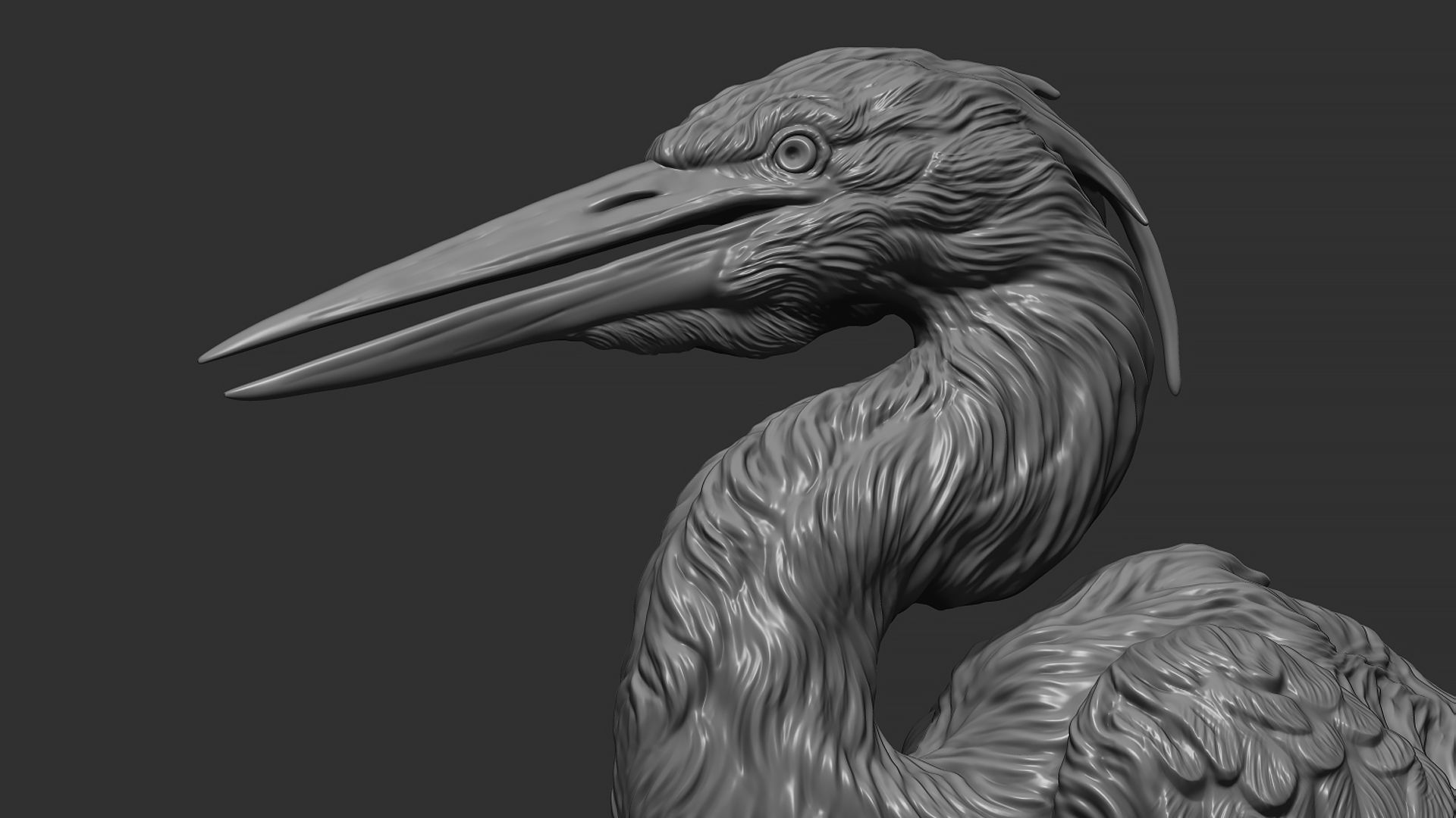 Grey Heron bust  3D print model_2