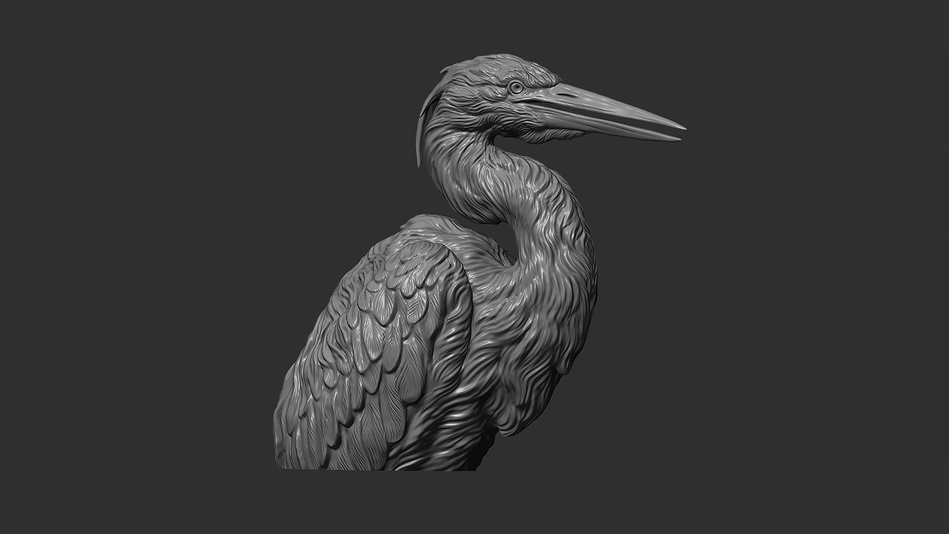 Grey Heron bust  3D print model_21
