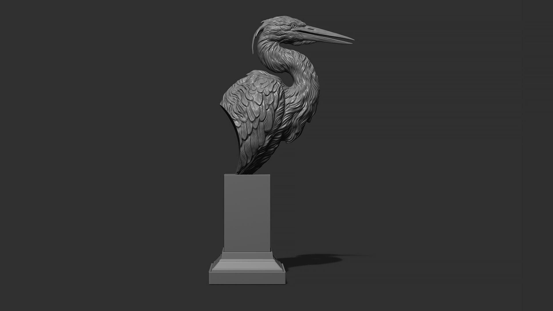 Grey Heron bust  3D print model_15