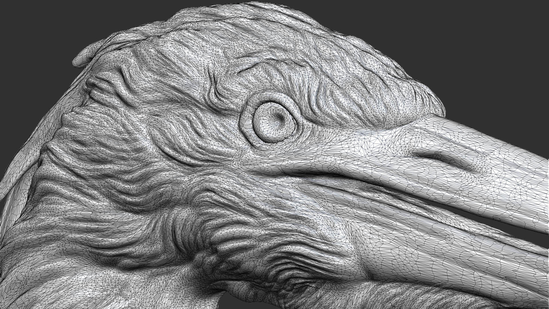 Grey Heron bust  3D print model_24