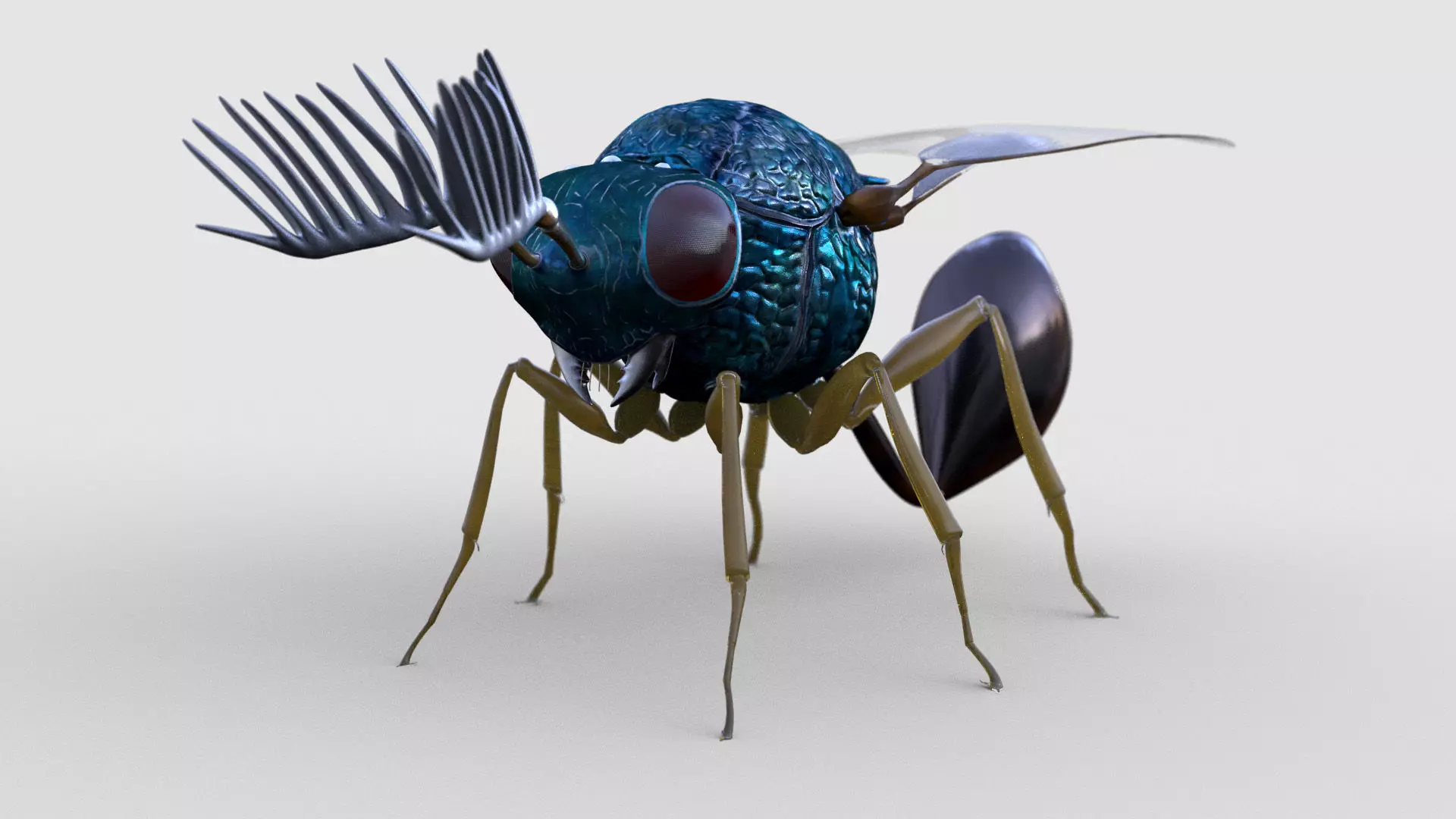 Eucharitidae 3d model rigged Apocrita Low-poly 3D model