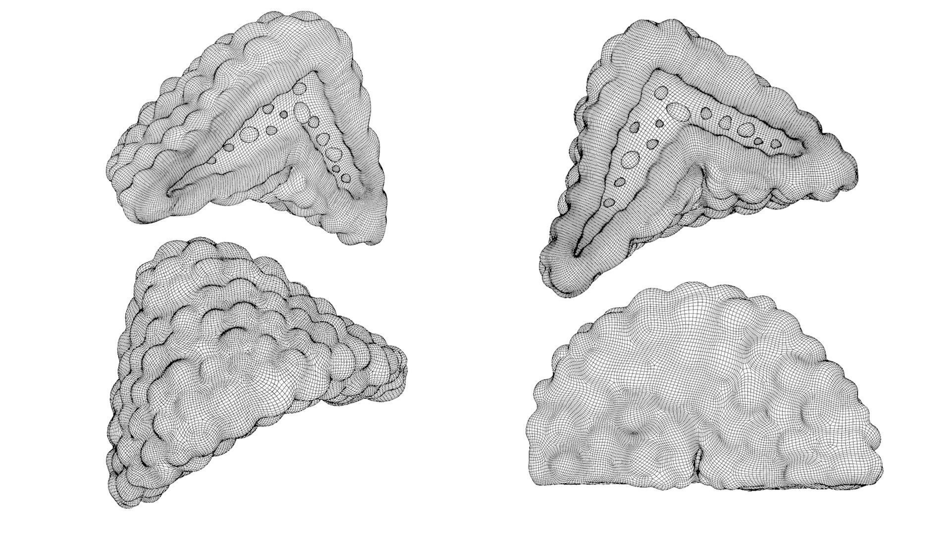 Adrenal Gland Cross Section Anatomy Low-poly 3D model_8