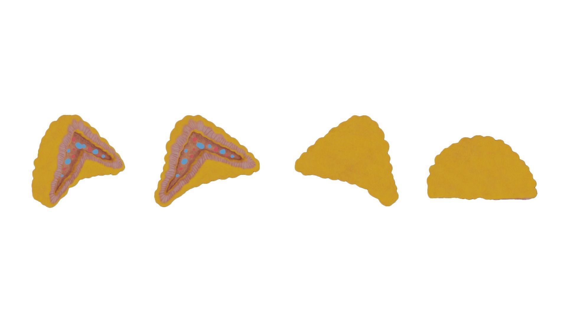 Adrenal Gland Cross Section Anatomy Low-poly 3D model_4