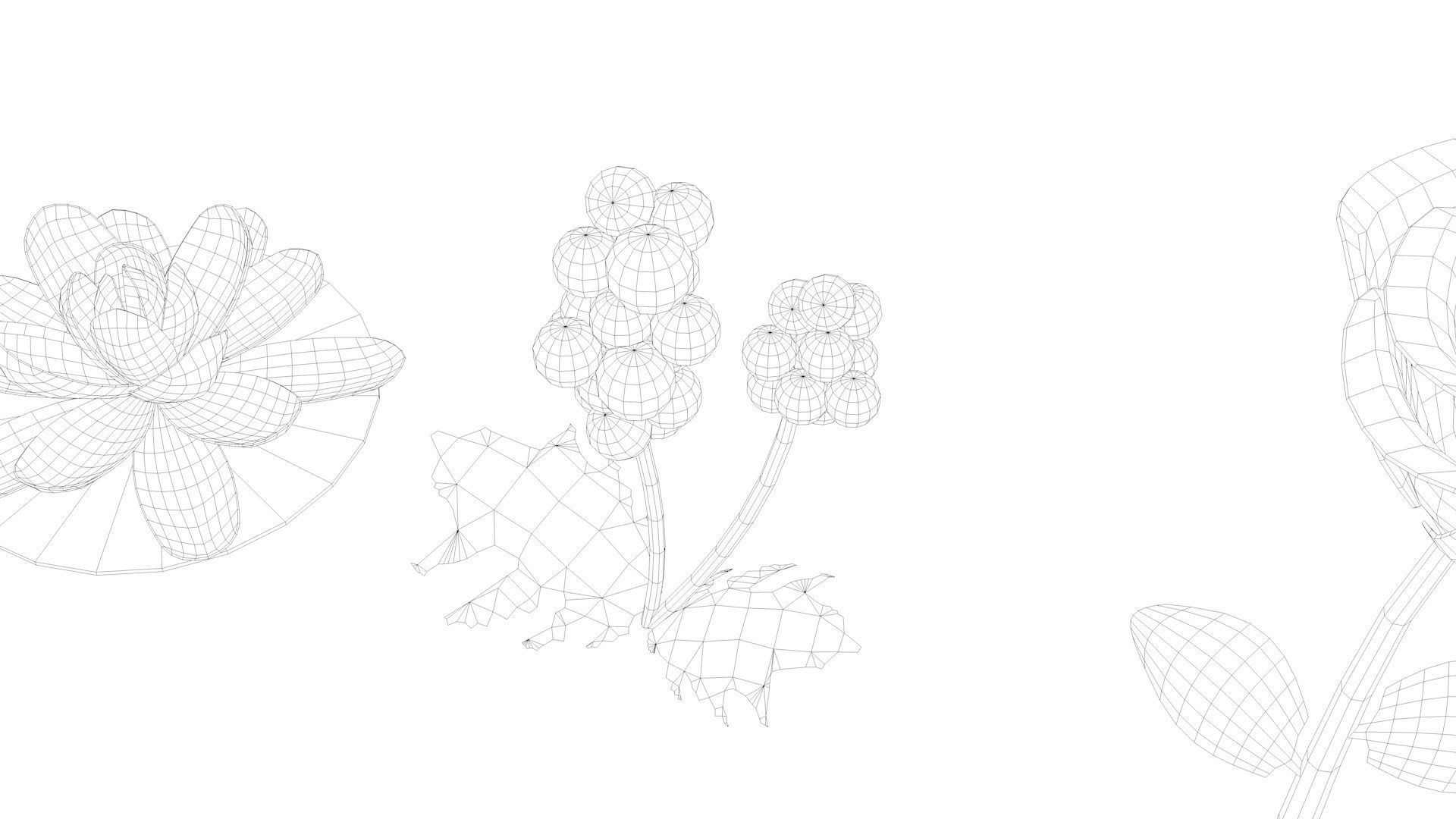 Cartoon Flowers Low-poly 3D model_48