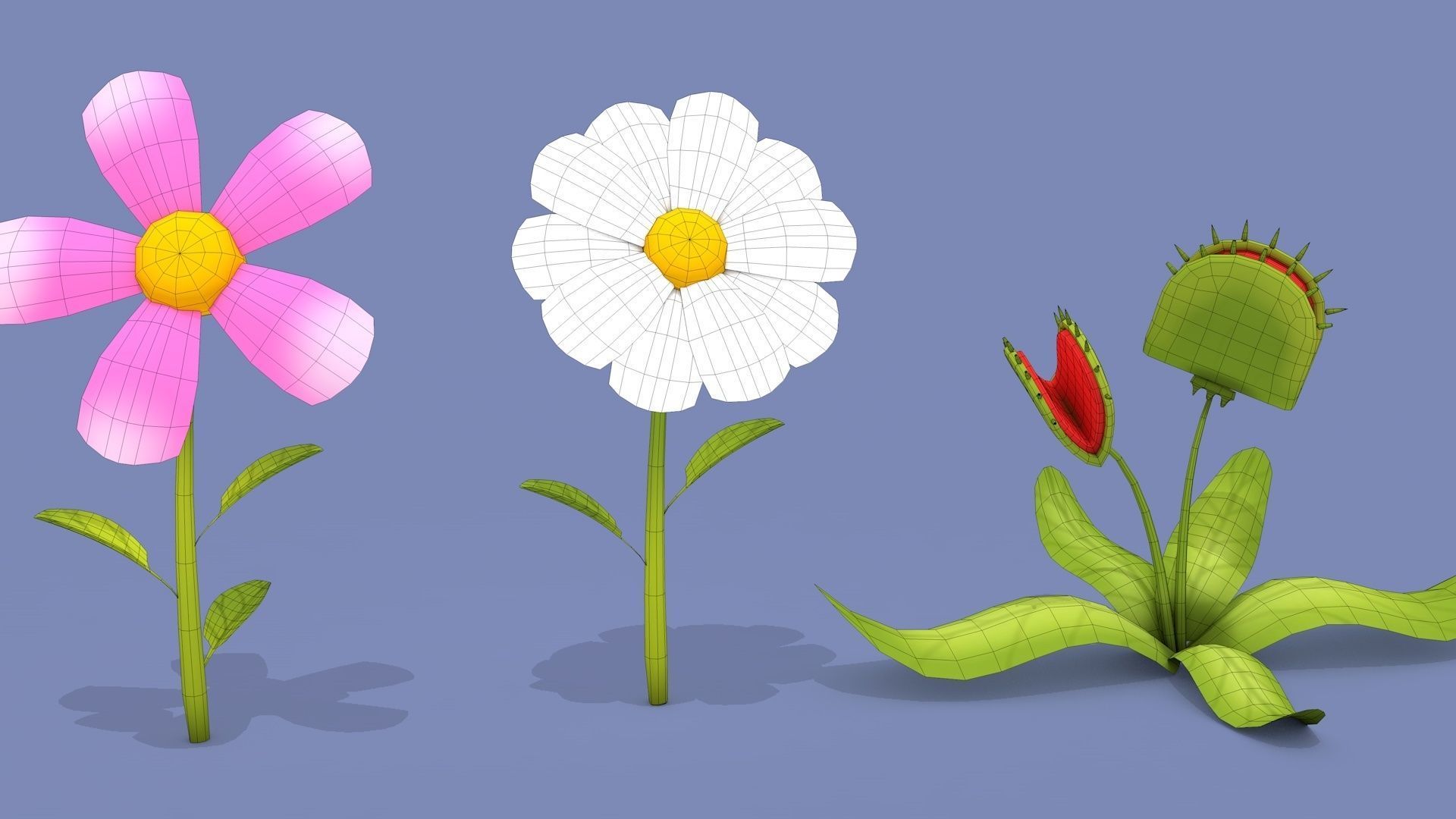 Cartoon Flowers Low-poly 3D model_20