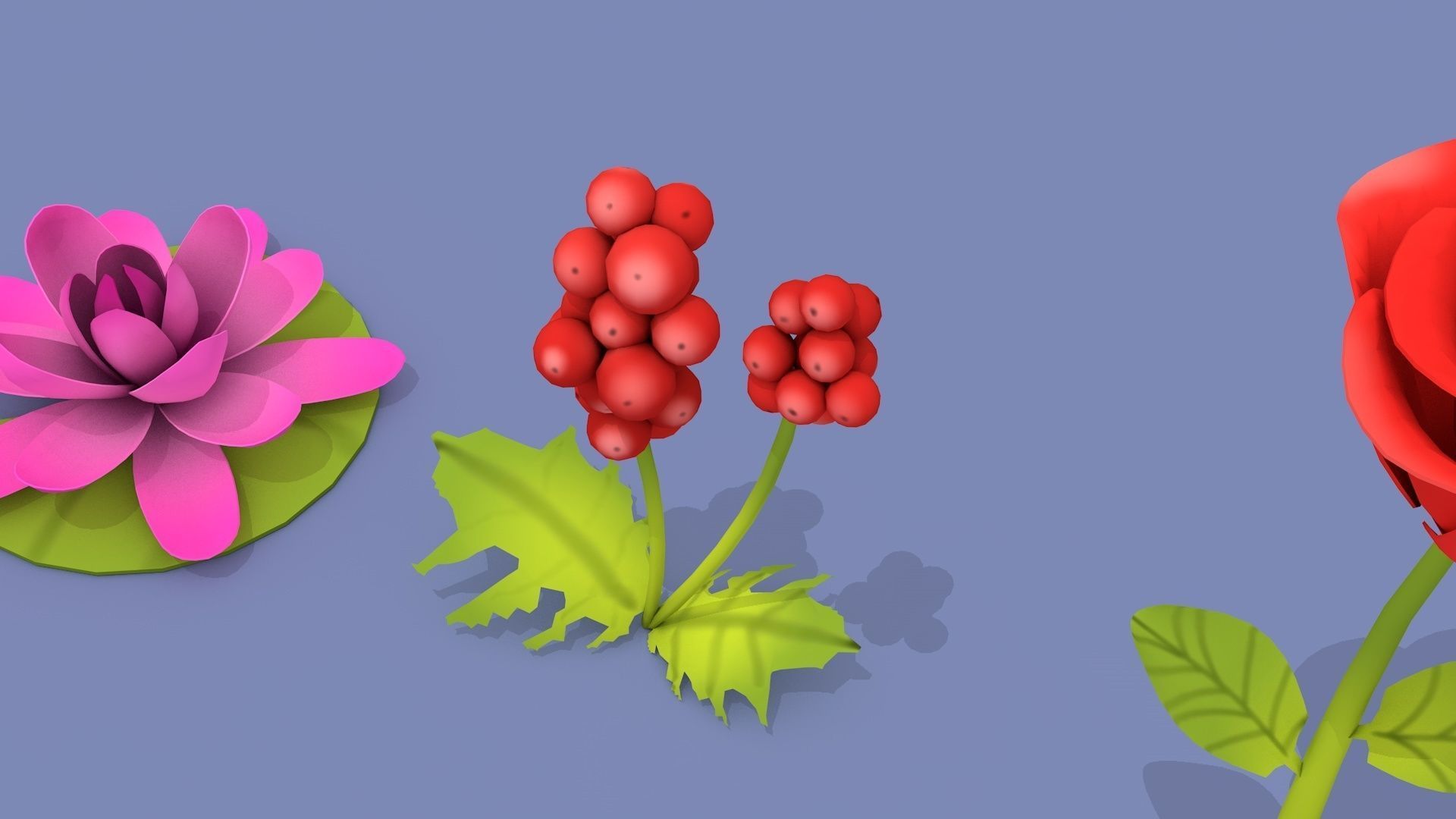 Cartoon Flowers Low-poly 3D model_13