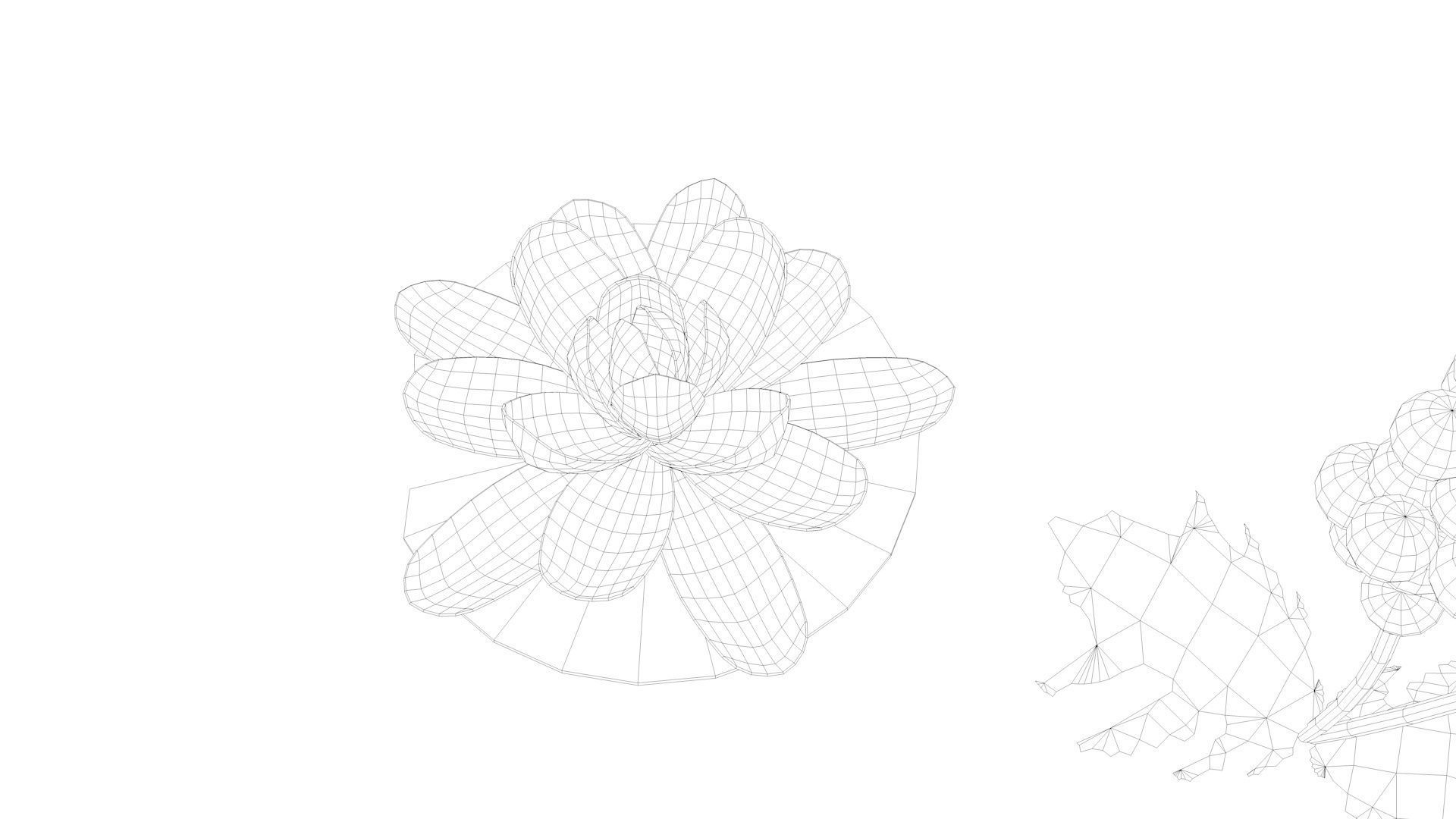 Cartoon Flowers Low-poly 3D model_47