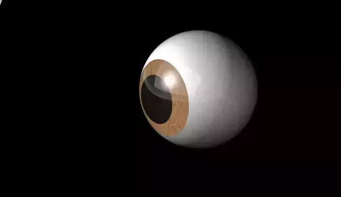 3d eye model Free 3D model