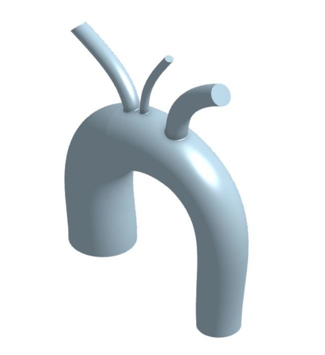 3D model of Aortic Arch Real Dimensions 3D print model_4