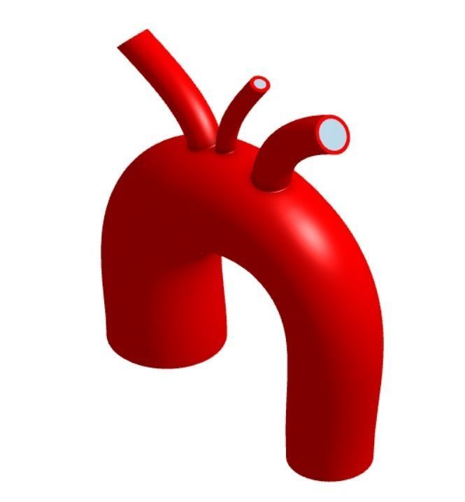3D model of Aortic Arch Real Dimensions 3D print model_2