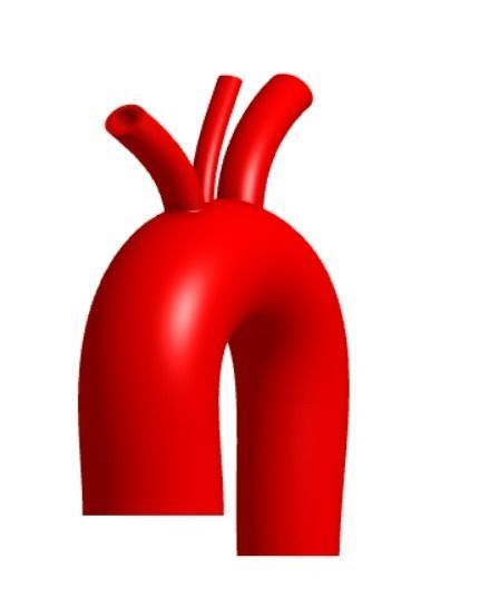 3D model of Aortic Arch Real Dimensions 3D print model_11
