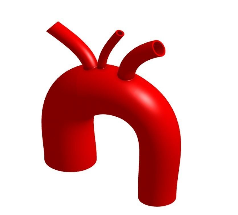 3D model of Aortic Arch Real Dimensions 3D print model_7