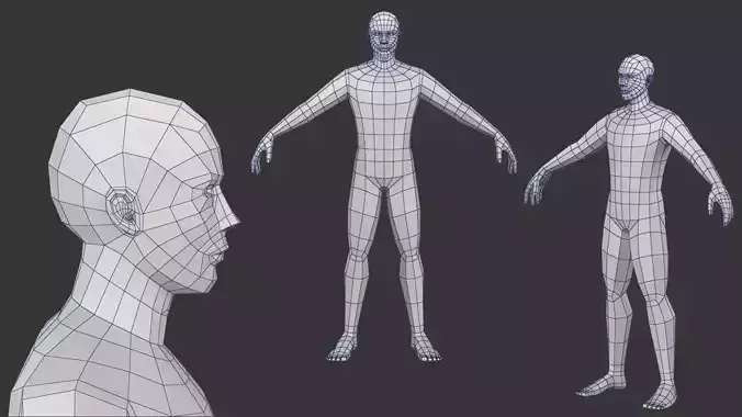 Base Mesh Male 3D model