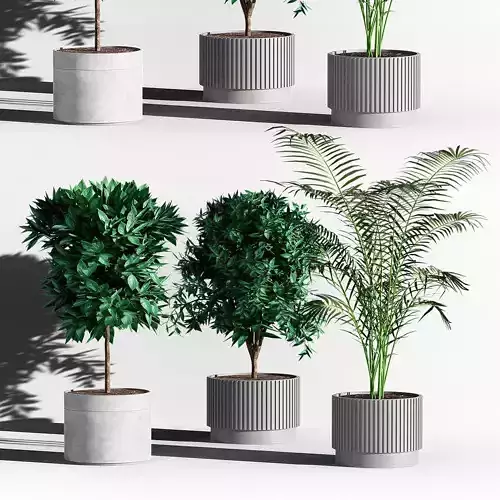 Indoor plant set 01