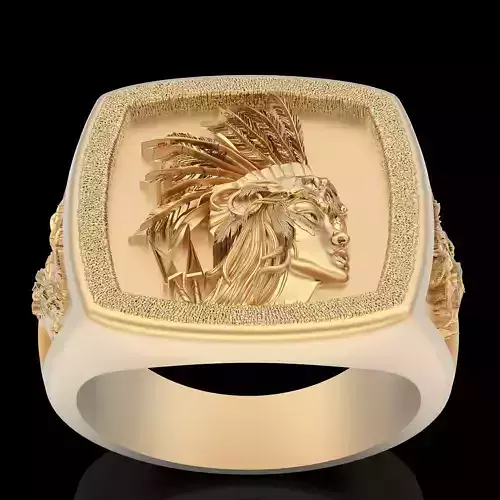 Indian Warrior Ring  silver gold sterling printable jewelry 3D print model