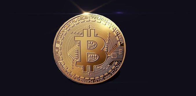 Coins bitcoin gold coin Free low-poly 3D model
