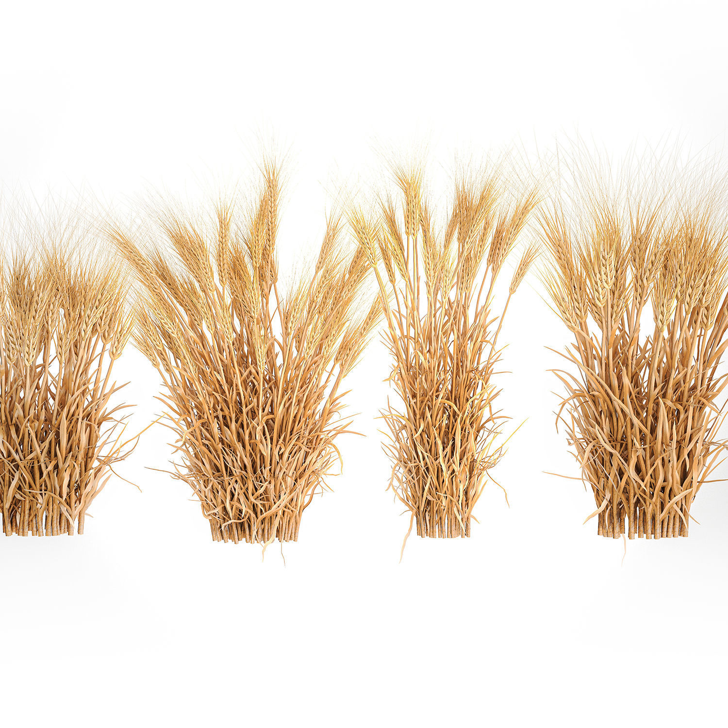 Bushes of dry ears of wheat for landscape design 1207 3D model_2
