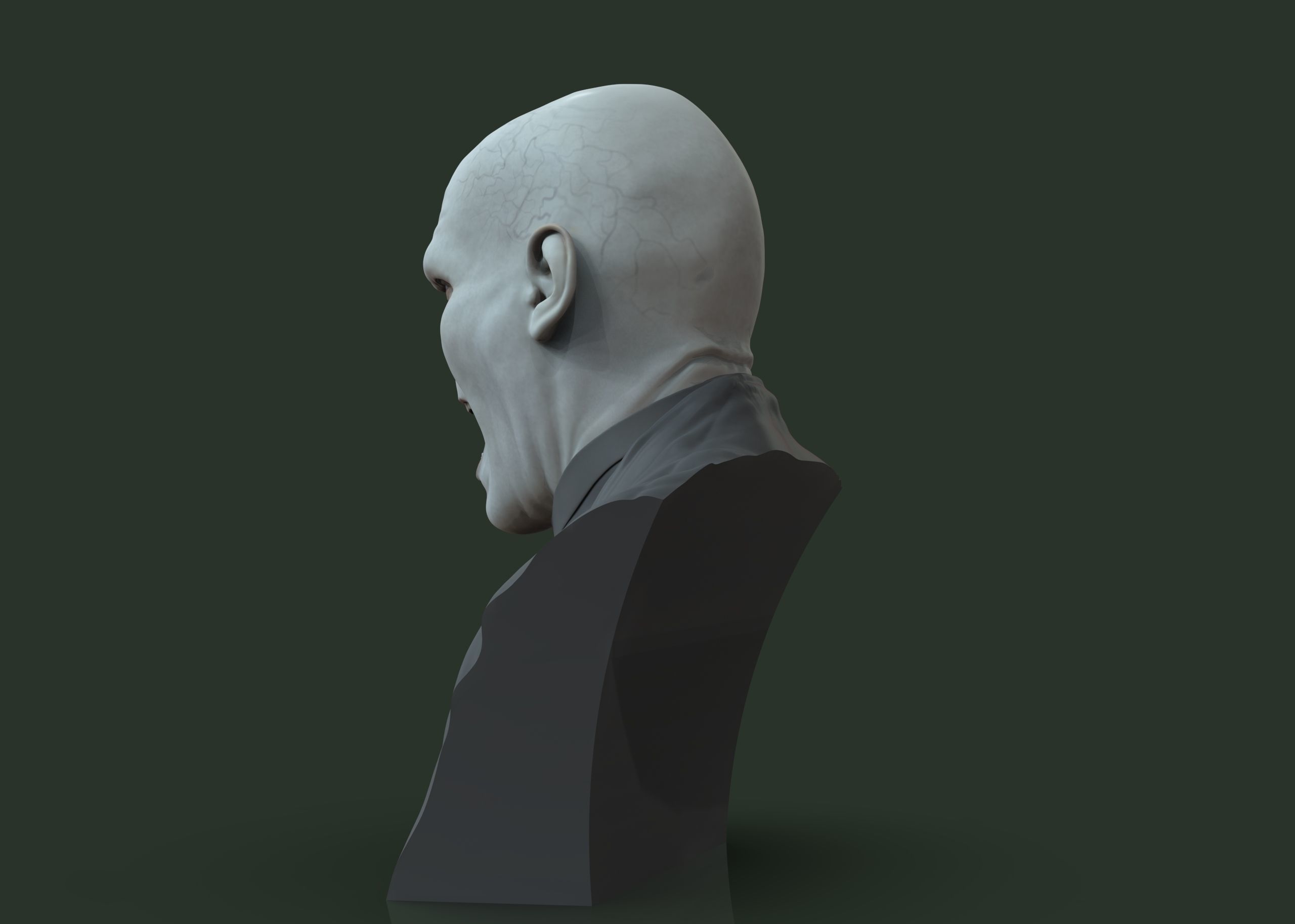 Lord Voldemor - Harry Potter 3D print model_27