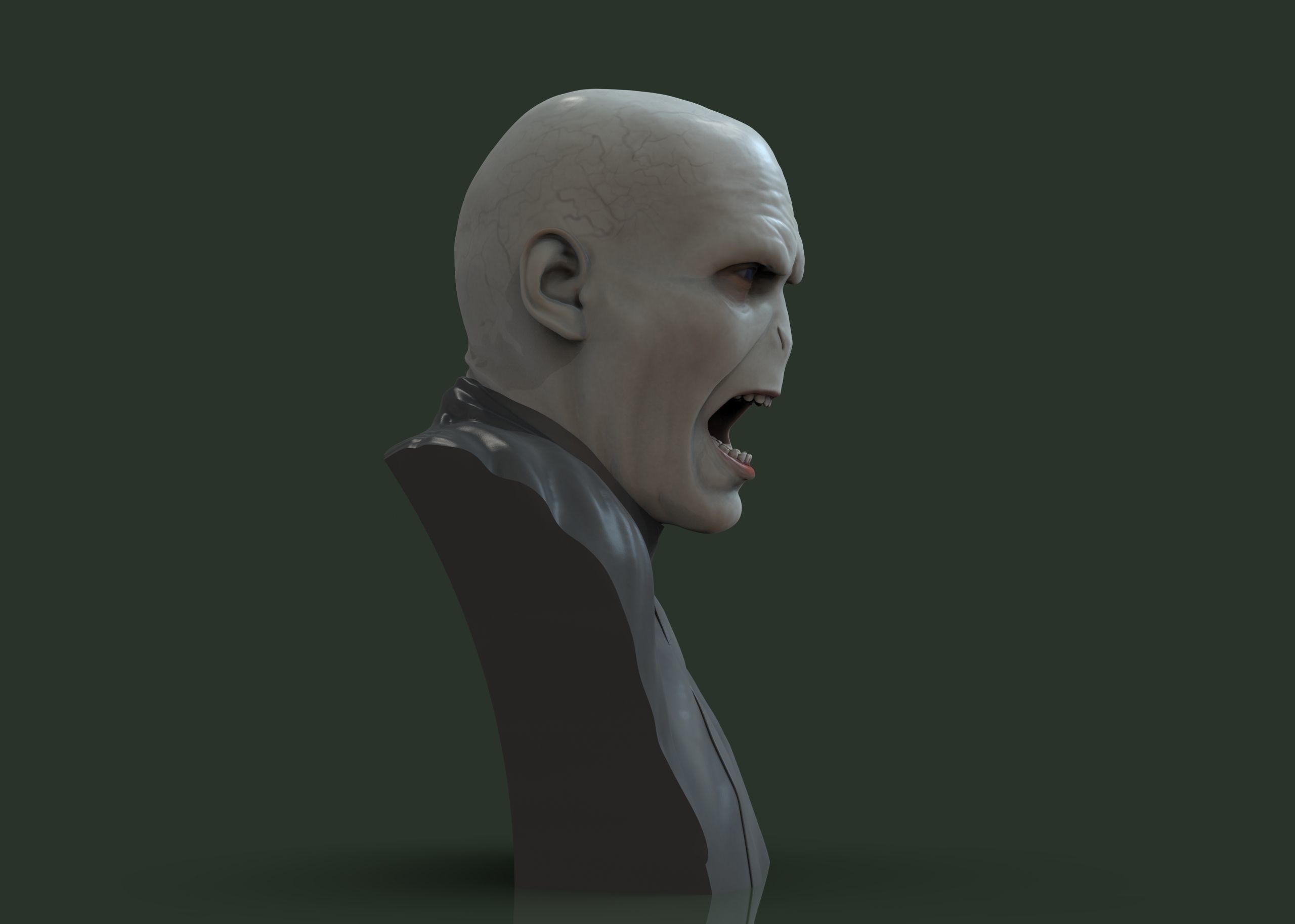 Lord Voldemor - Harry Potter 3D print model_30