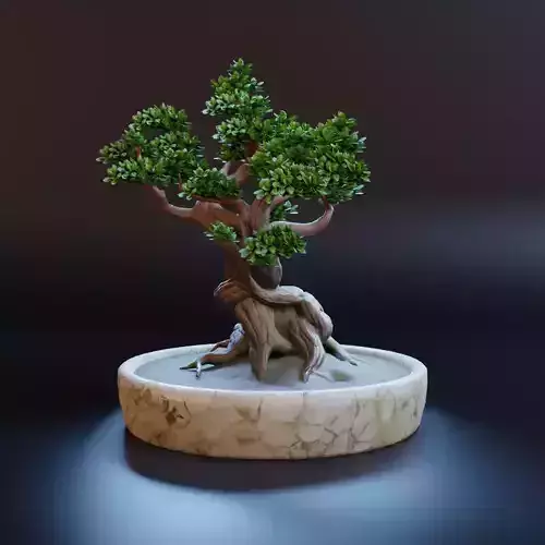 Bonsai tree