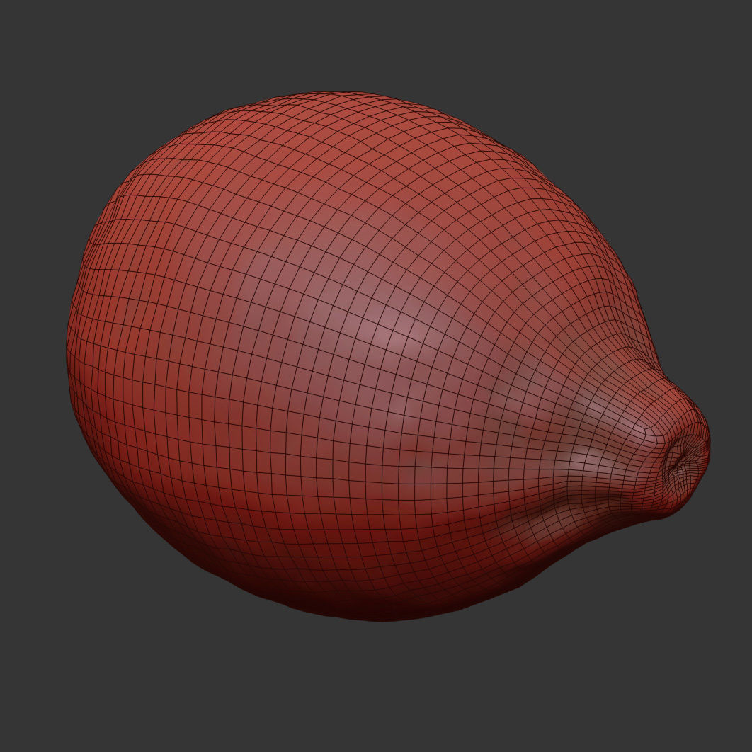 Lemon 3D model_6