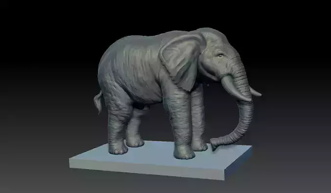 Realistic Elephant 3D model on platform