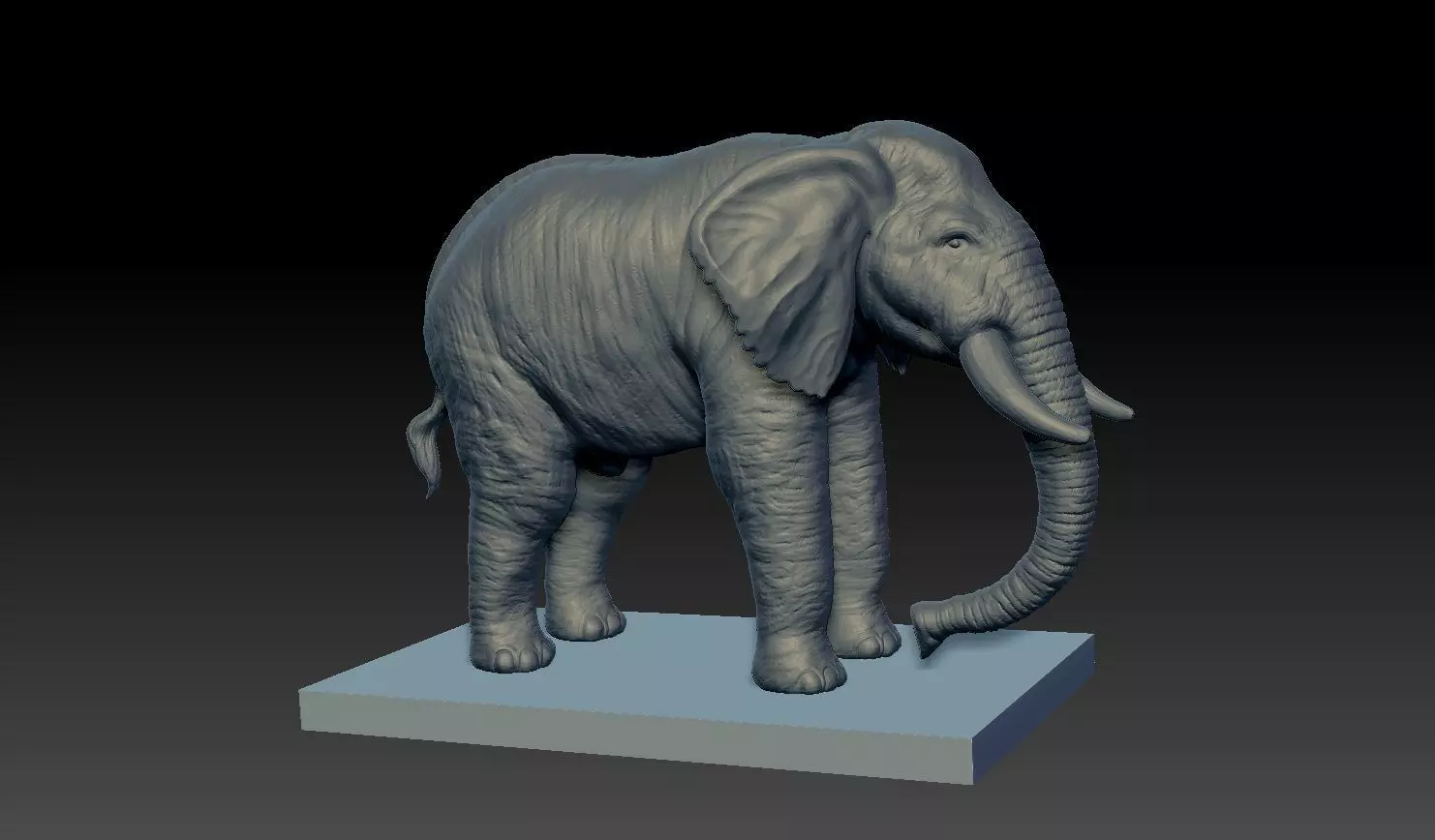 Realistic Elephant 3D model on platform 3D model