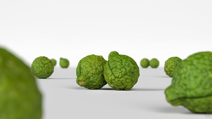 Lime  3D model 2