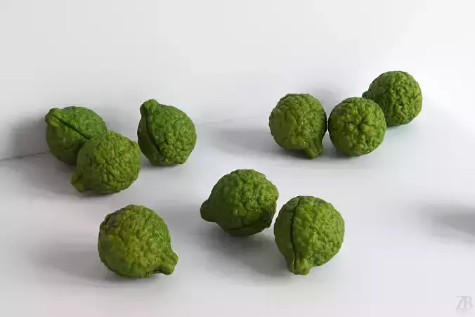 Lime  3D model