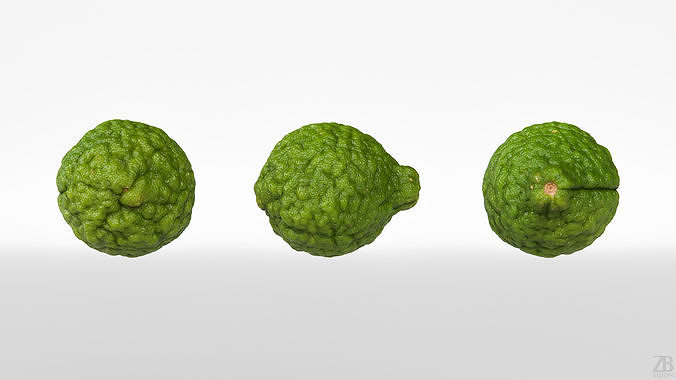 Lime  3D model 5