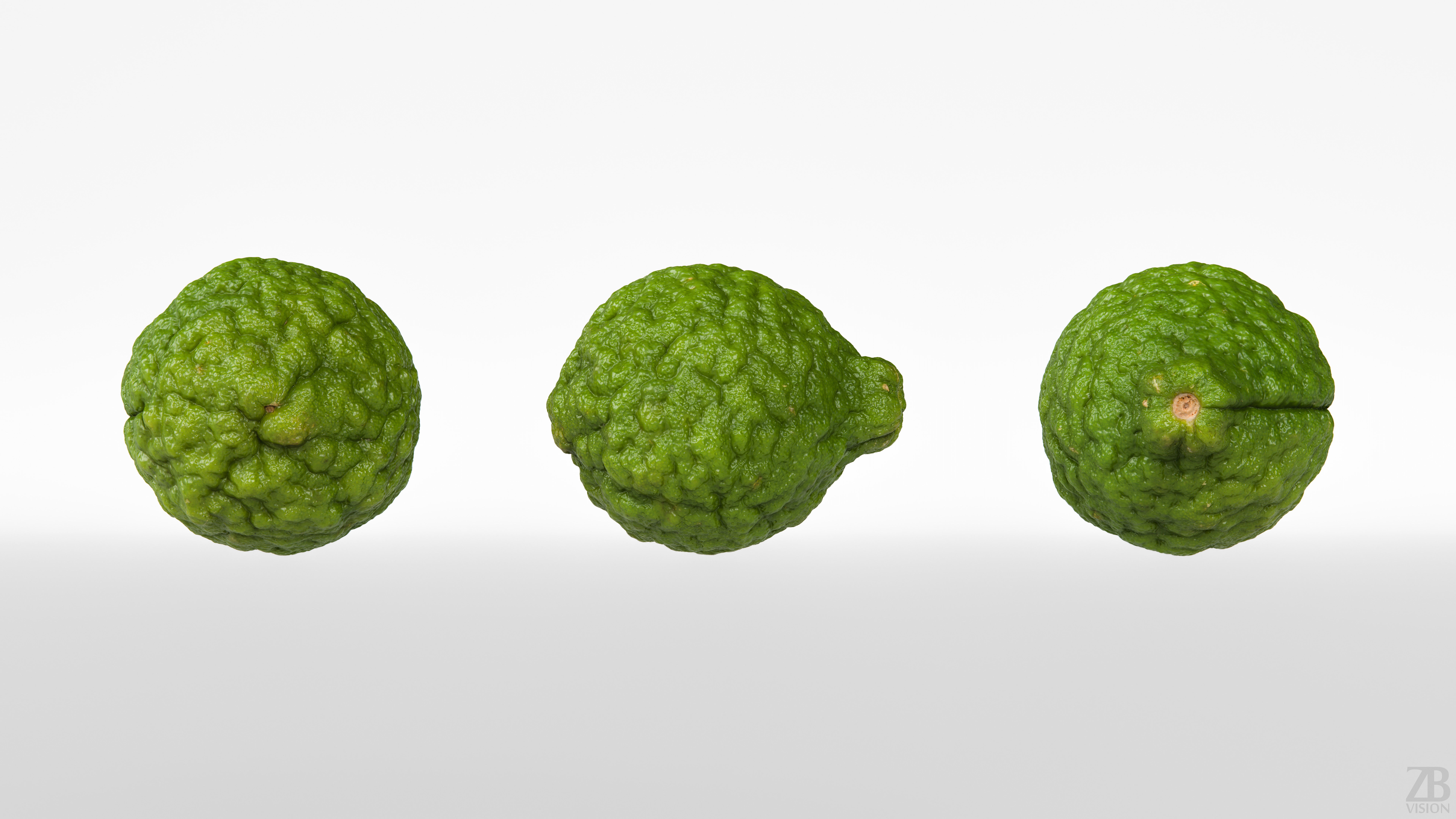 Lime  3D model_4