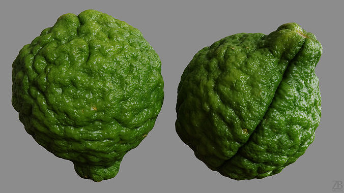 Lime  3D model 6
