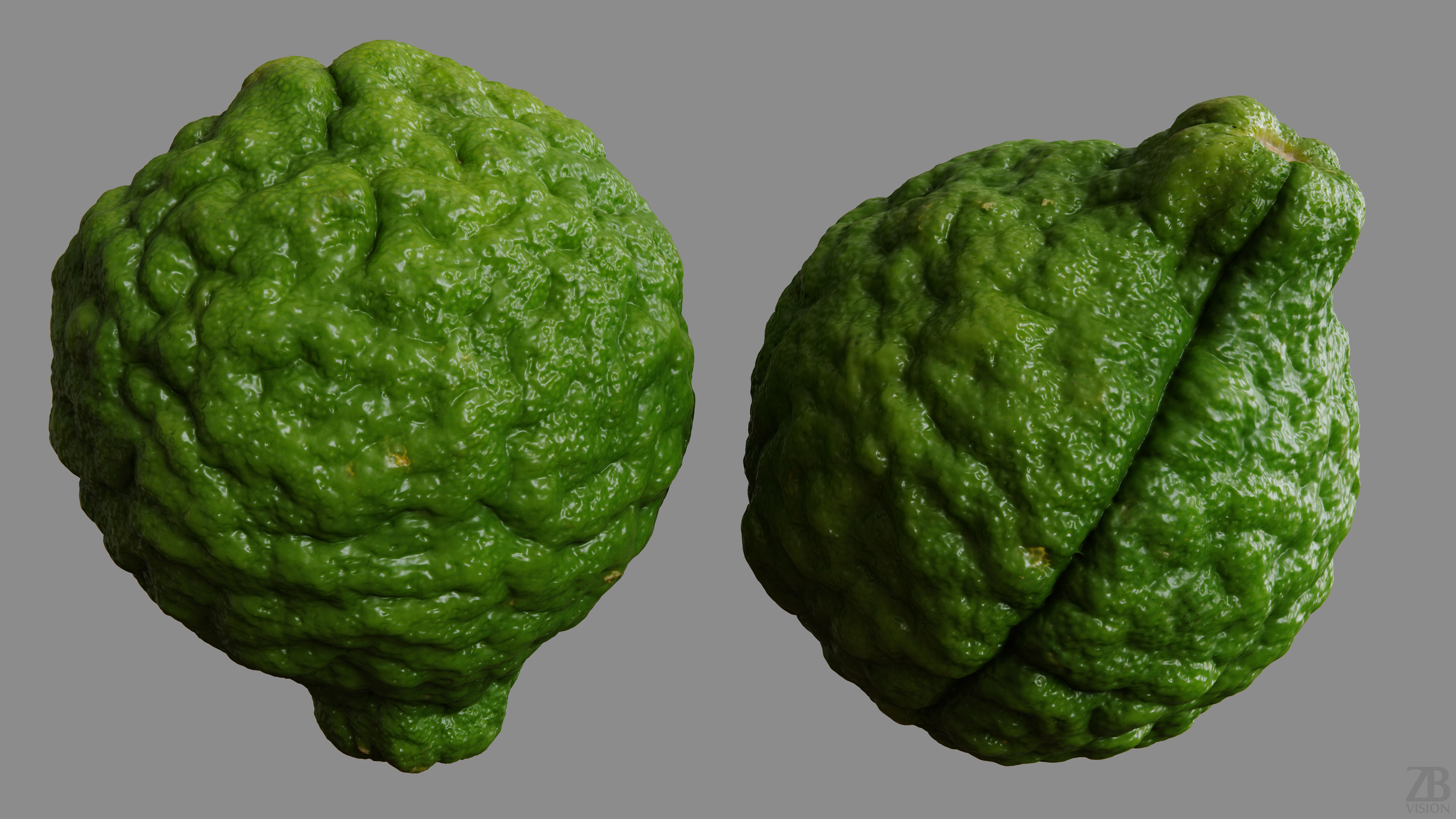 Lime  3D model_5