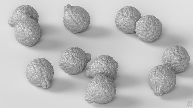 Lime  3D model 4