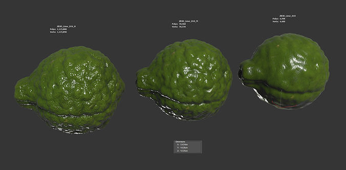 Lime  3D model 7