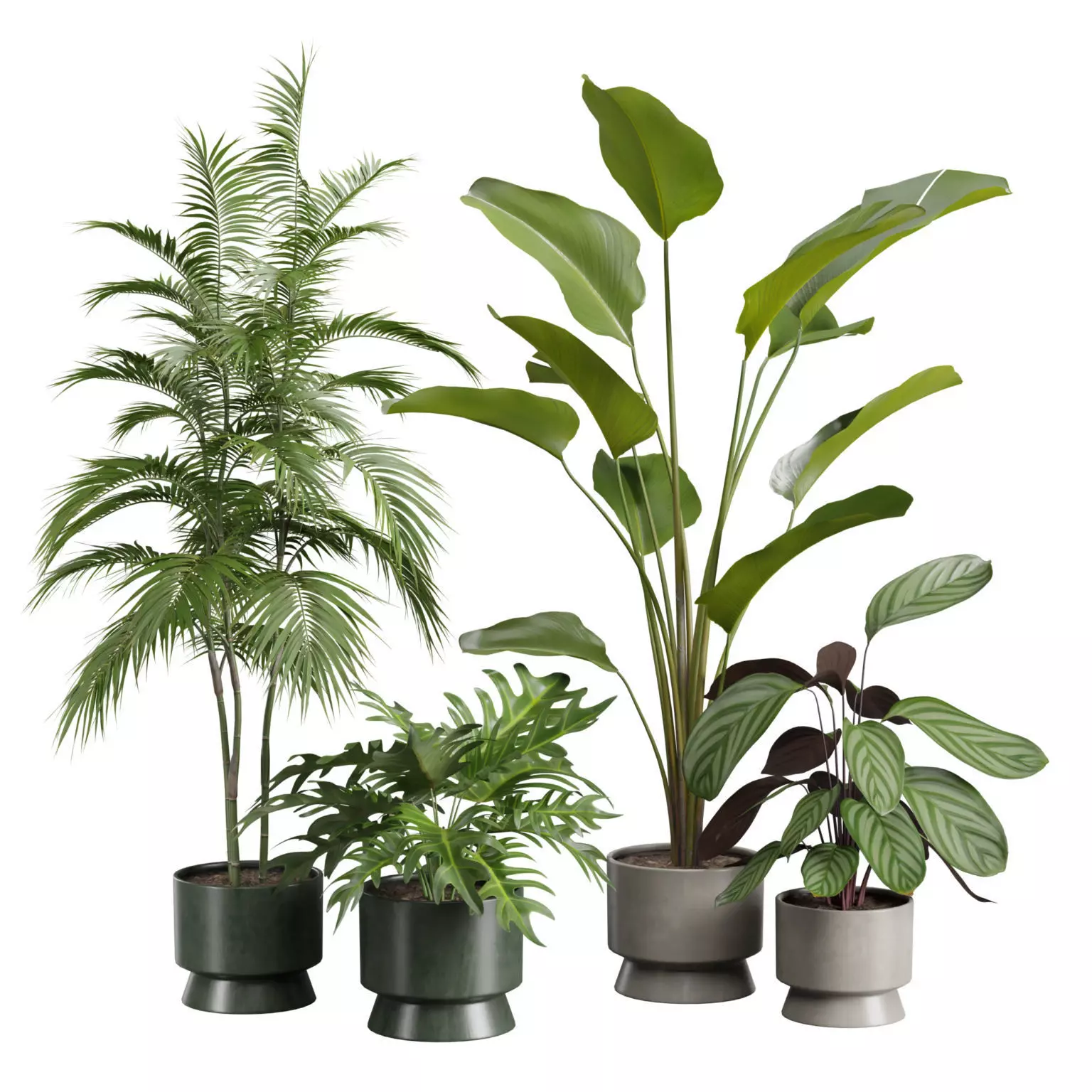 Indoor Plants Pack 42 3D model_0