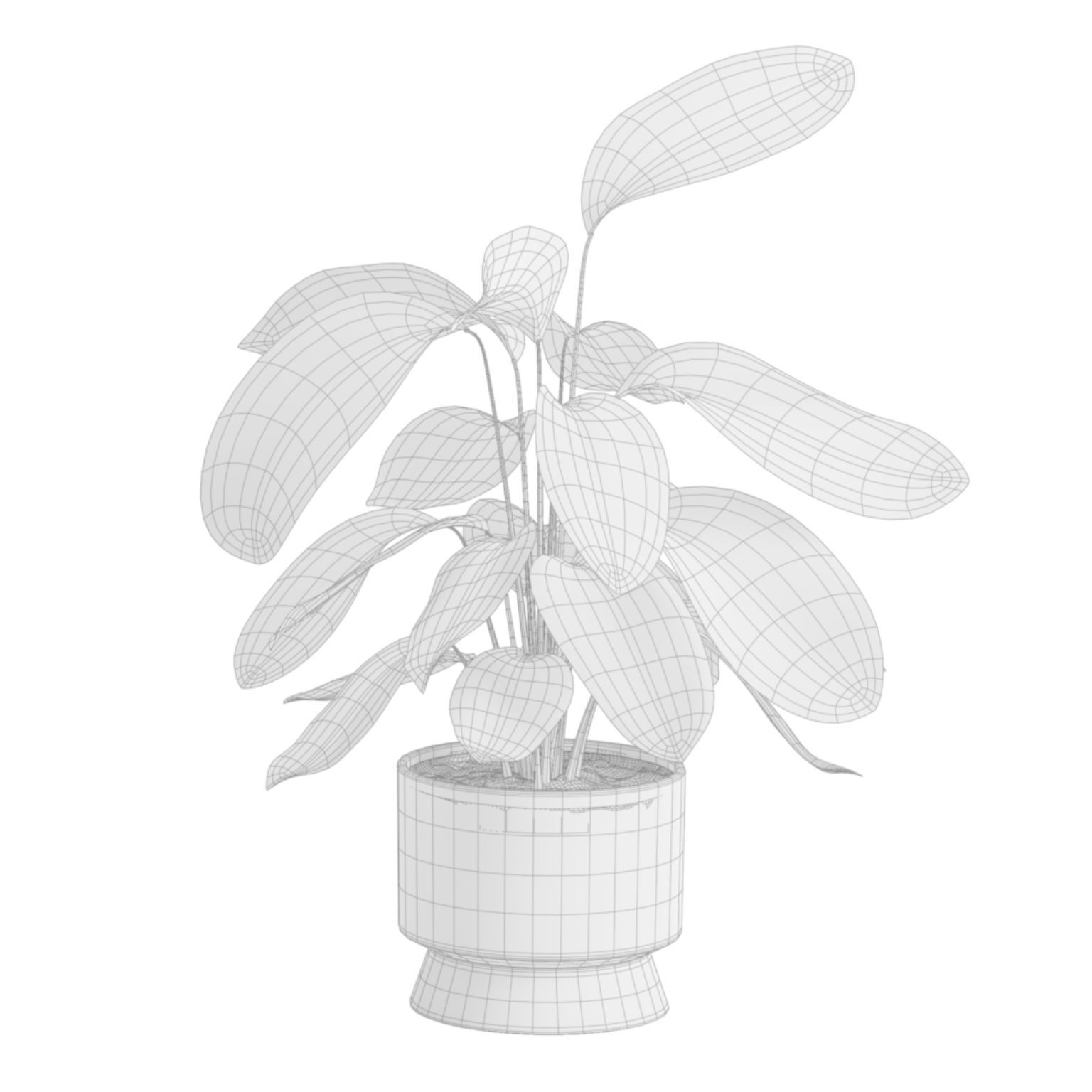 Indoor Plants Pack 42 3D model_7