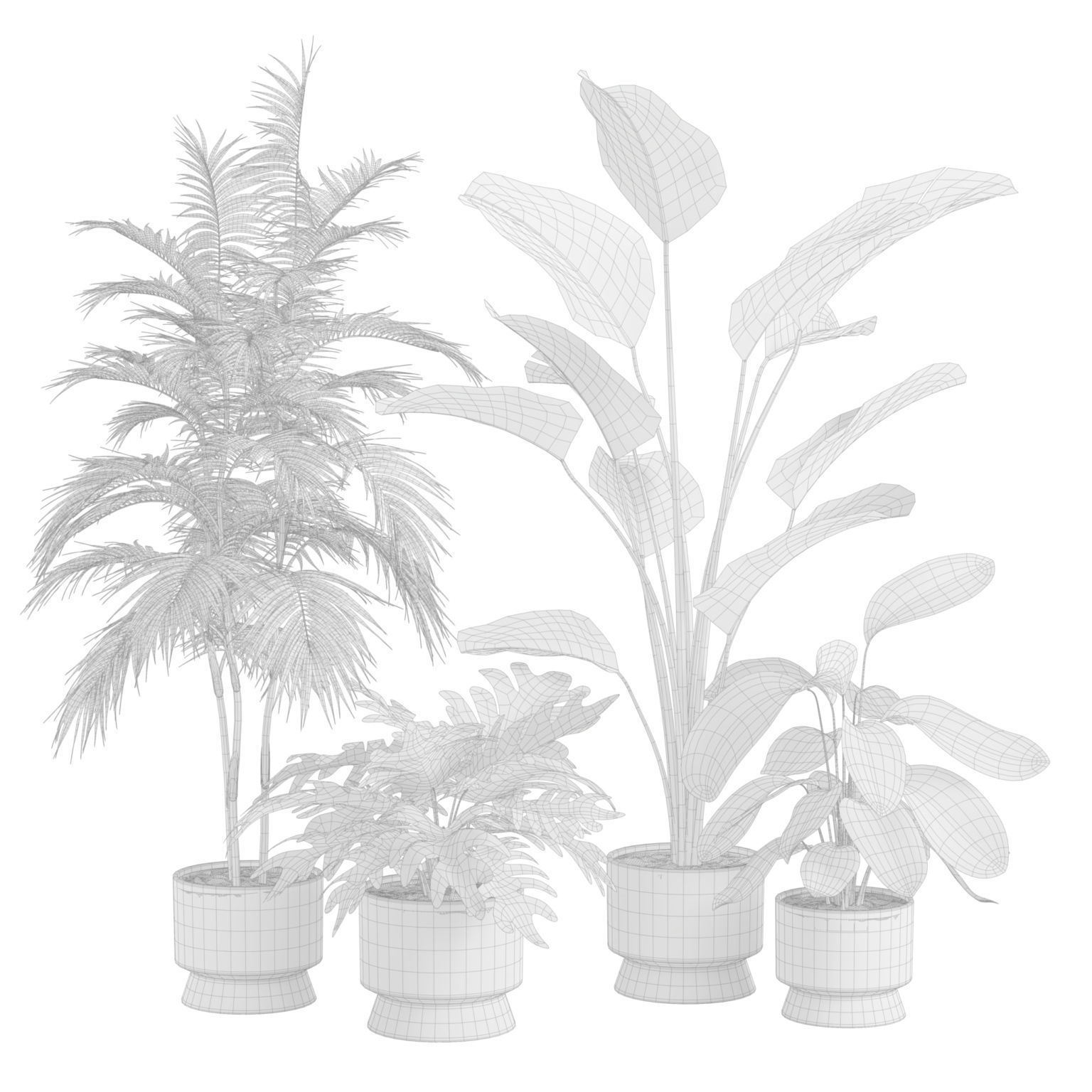 Indoor Plants Pack 42 3D model_1