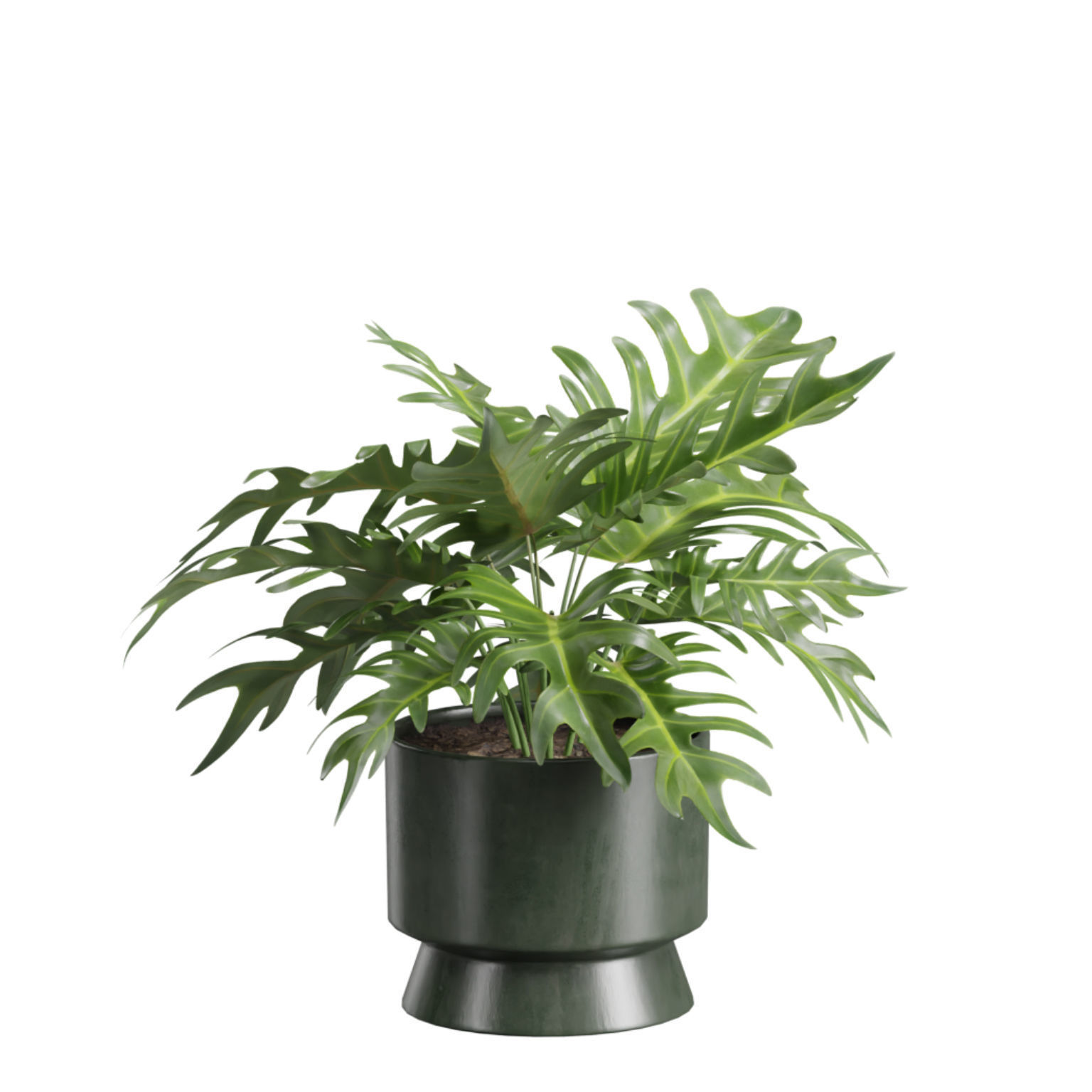 Indoor Plants Pack 42 3D model_6