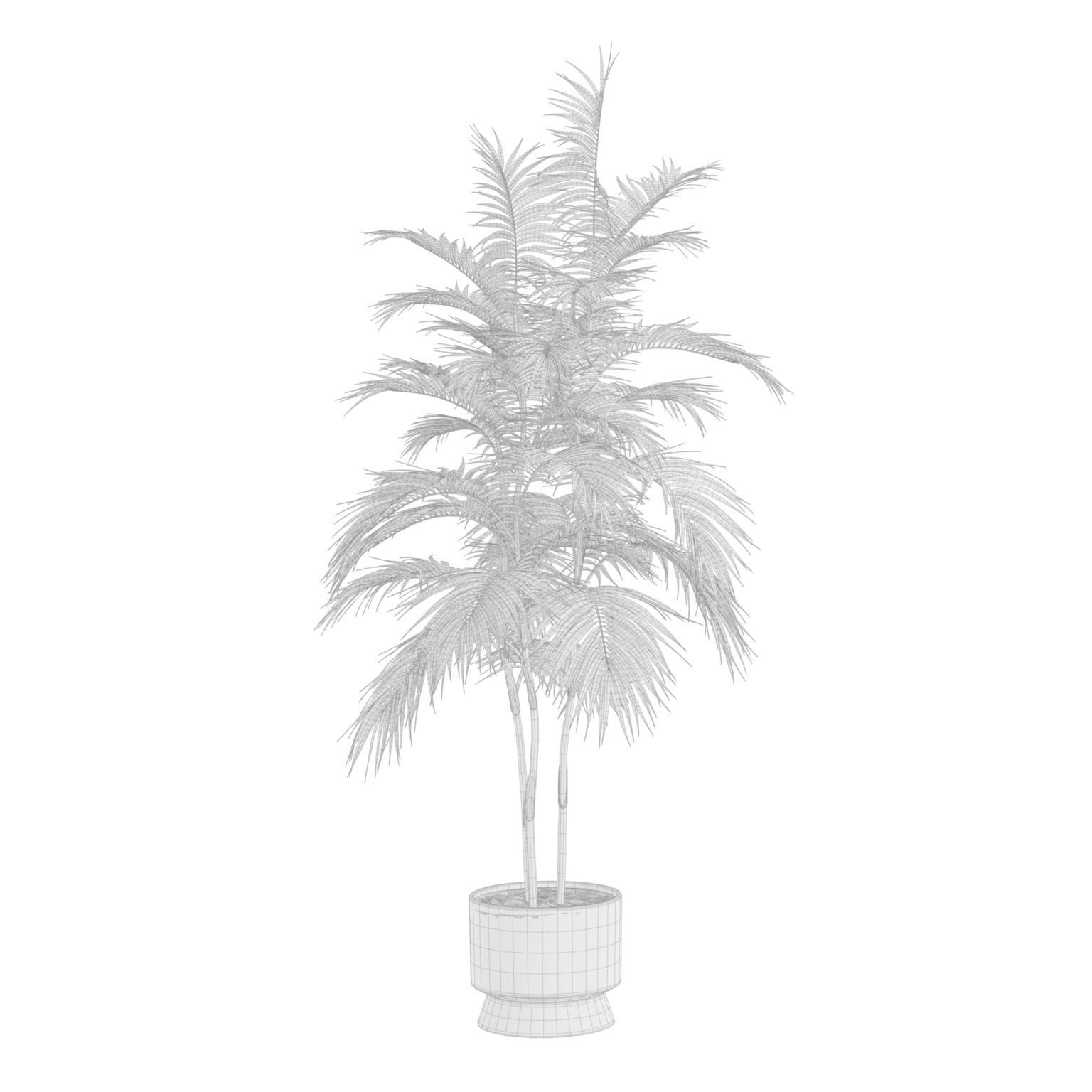 Indoor Plants Pack 42 3D model_10