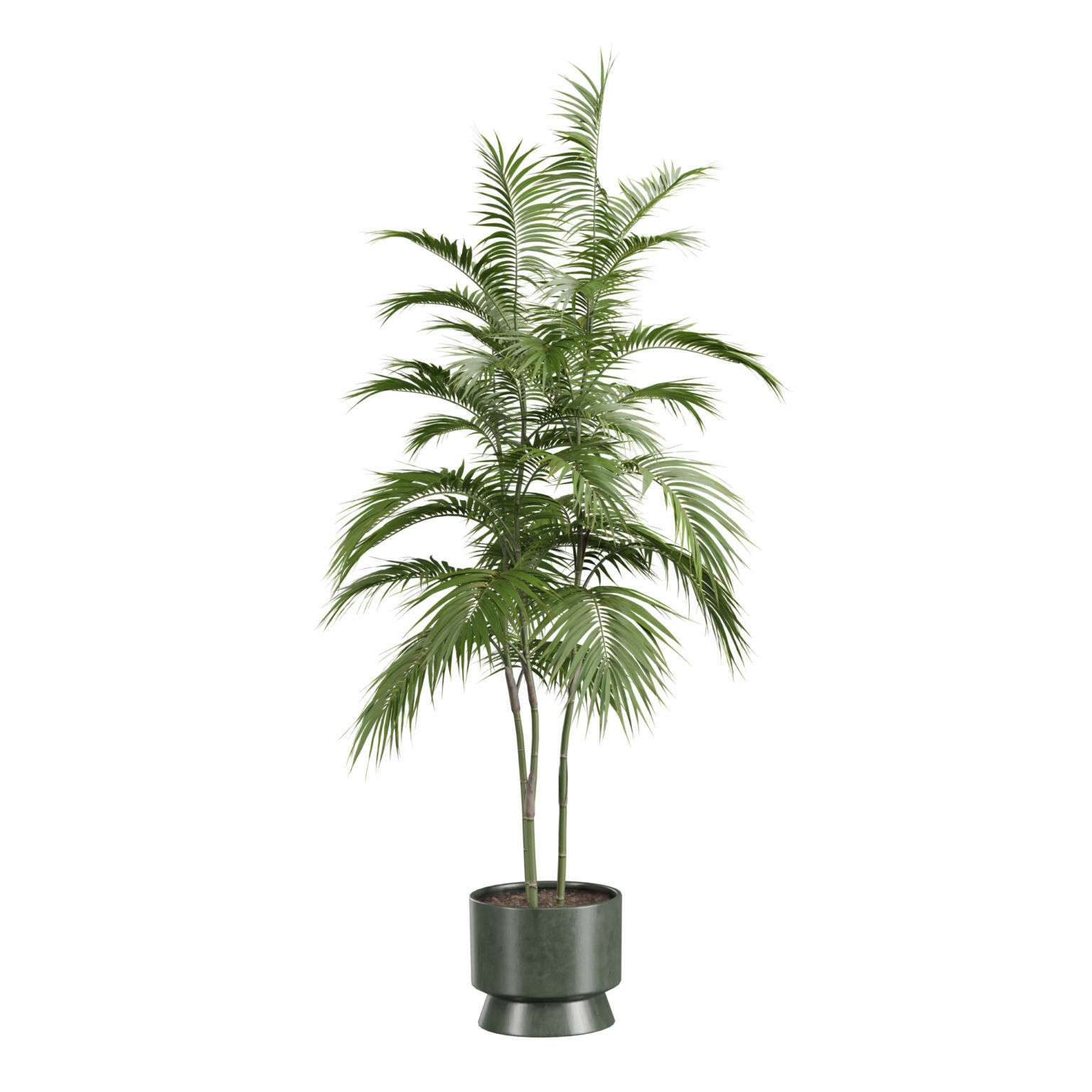 Indoor Plants Pack 42 3D model_4