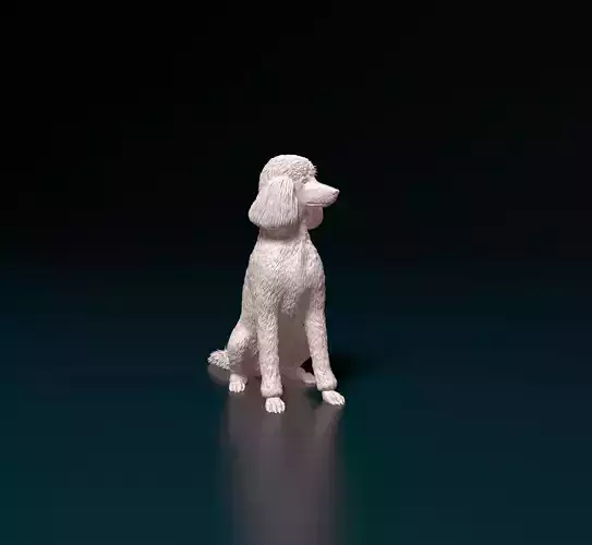 Poodle 4 3D print model