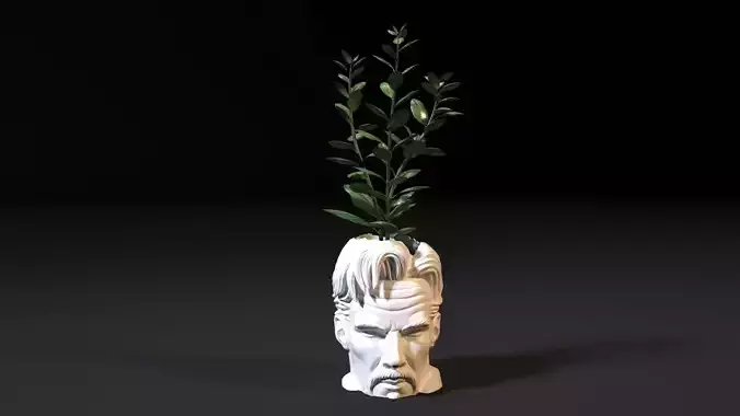 Doctor Strange planters