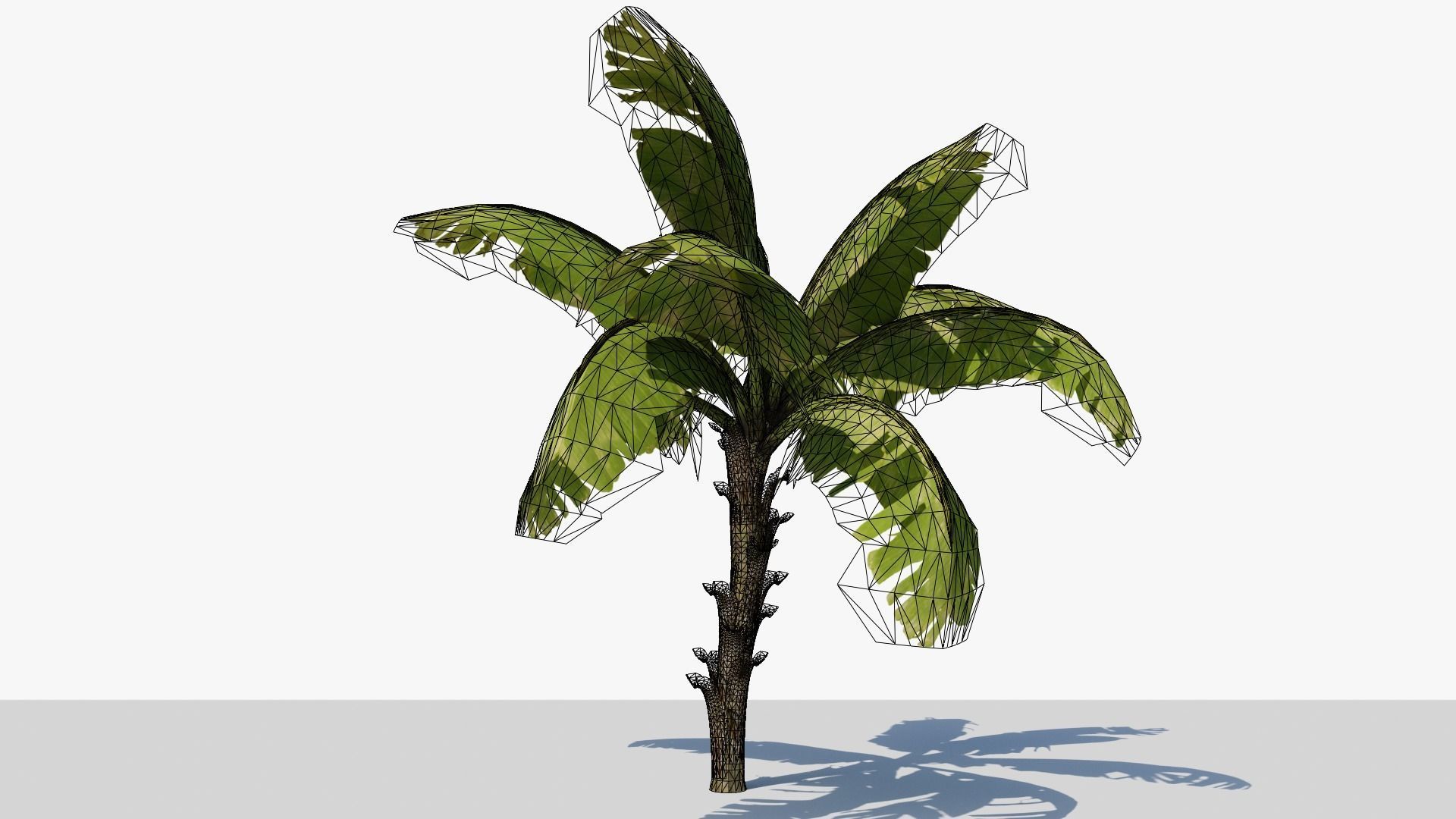 Banana Plant Tree Low-poly 3D model_13