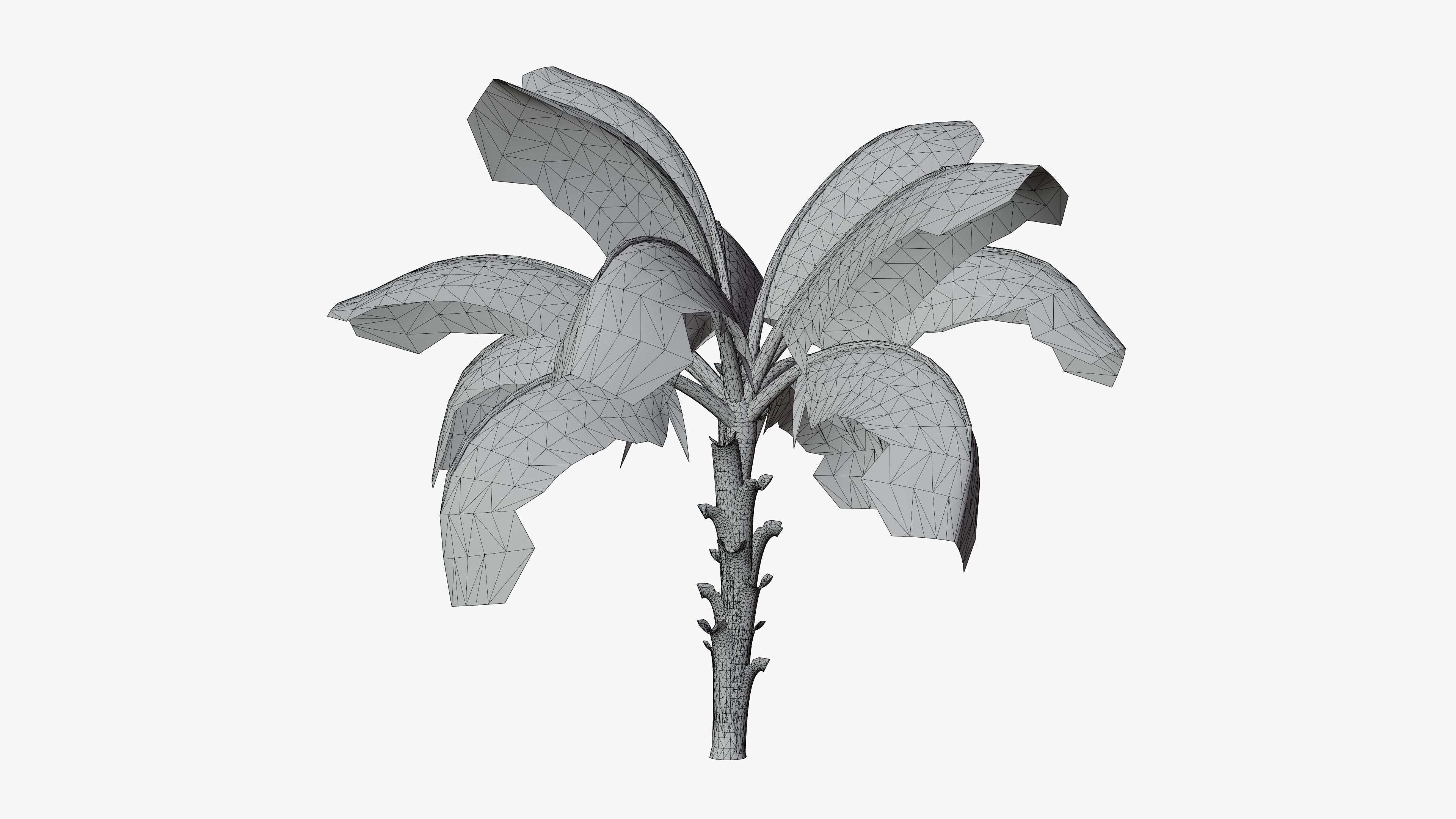 Banana Plant Tree Low-poly 3D model_2