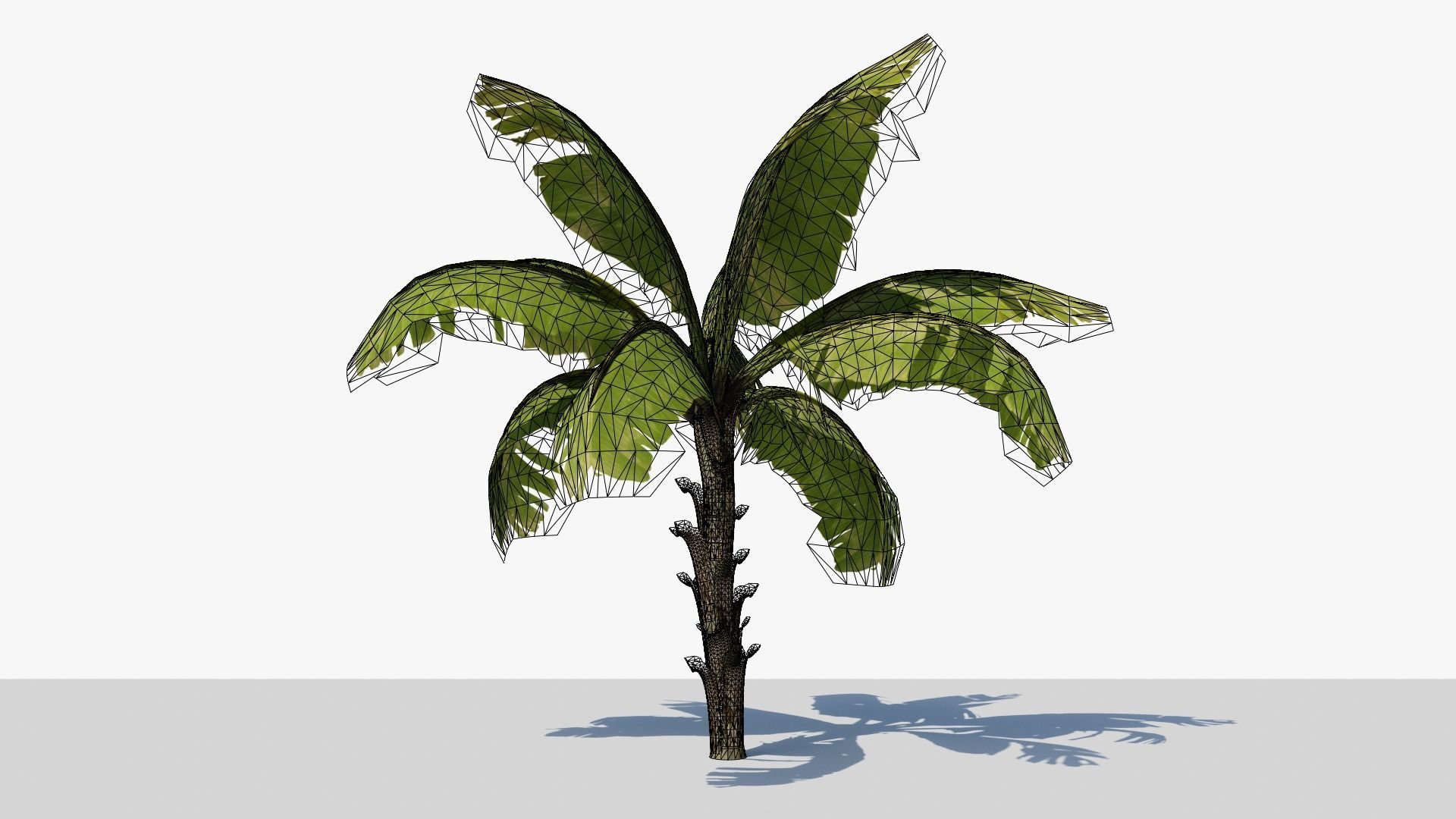 Banana Plant Tree Low-poly 3D model_10