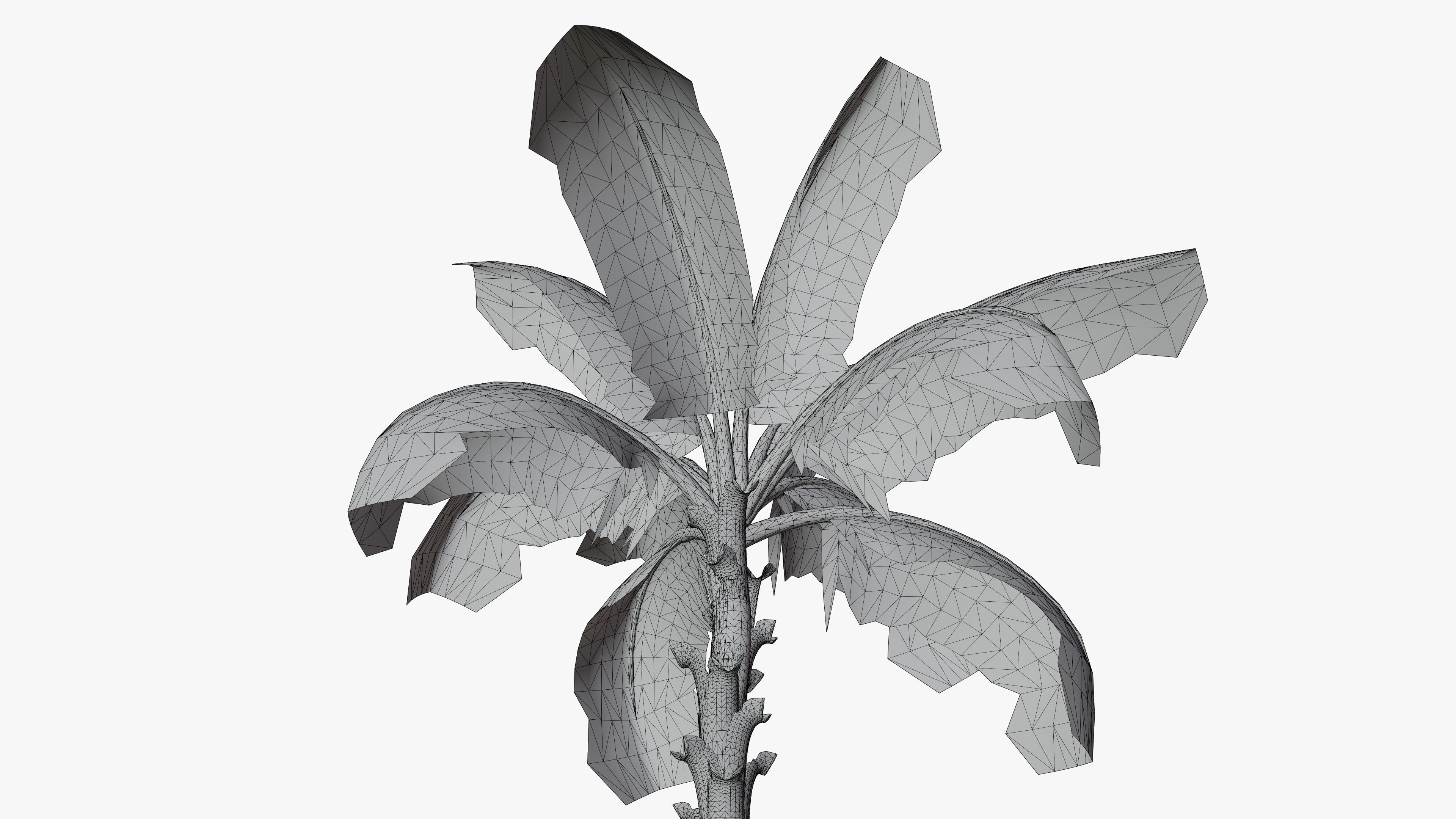Banana Plant Tree Low-poly 3D model_20