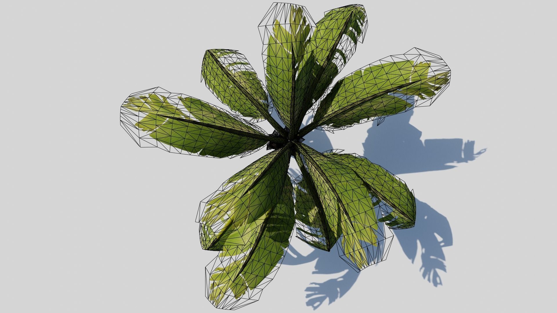 Banana Plant Tree Low-poly 3D model_16