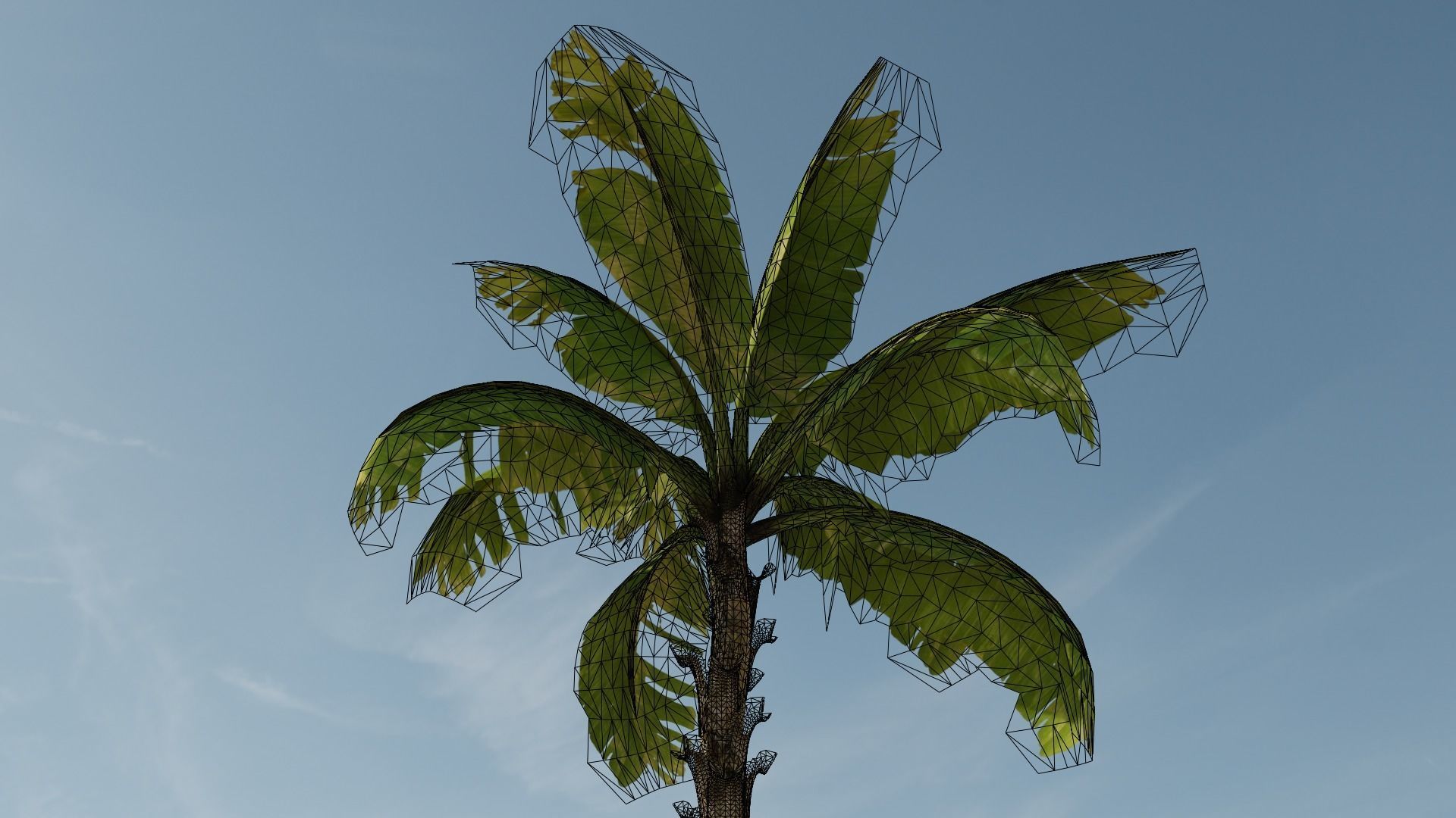 Banana Plant Tree Low-poly 3D model_19