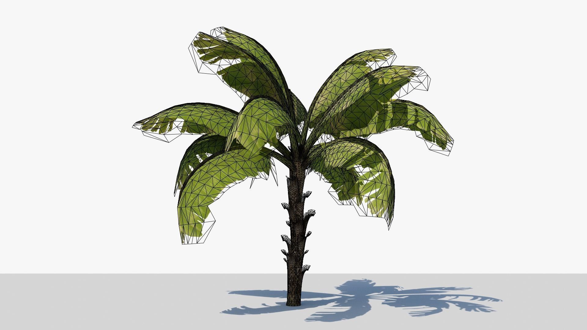 Banana Plant Tree Low-poly 3D model_1